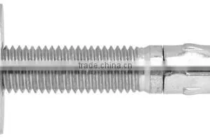 Wedge Anchor Fastener thumbnail-1
