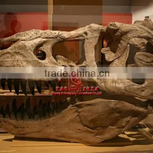 3 Meters Long Fiberglass Dinosaur Skull Replicas thumbnail-1