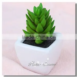 Pvc Material and Succulent Plants Plant Type Artificial Succulent Plants thumbnail-1