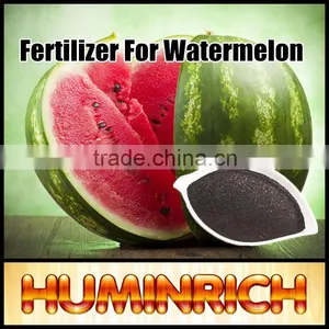 FAQ 35--What Benefit Does Huminrich Organic Fertilizer Apply To Watermelon? thumbnail-2