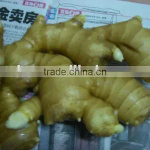 Chinese Bulk Ginger thumbnail-1