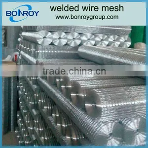Welded Wire Mesh thumbnail-1