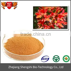 Organic Rhodiola Rosea Extract, Rhodiola Rosea Powder Extract thumbnail-2