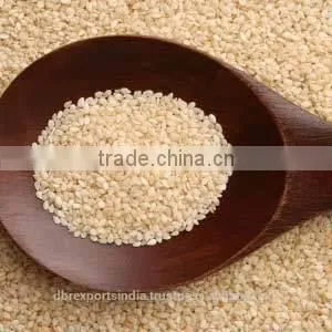SESAME OIL From India thumbnail-1