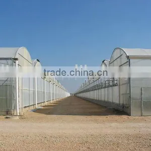 10 Years Guarantee of Polycarbonate Sheet thumbnail-1