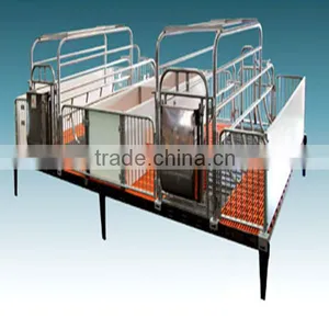 Automatic Poultry Equipment for Pig Raising thumbnail-1