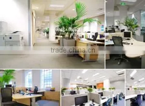 Guangzhou Chenglong Auto Oil Seal Co., Ltd. company overview - view 3 thumbnail
