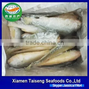 China Seafood Supplier Frozen Yellow Croaker With Good Quality thumbnail-5