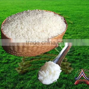 High Quality Premium Grade Thai Jasmine Rice 105 Thai Hom Mali Rice , Factory Rice Suppliers in Thailand thumbnail-1