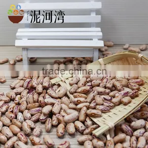 New CROP Light Speckled Kidney Bean 2016 Crop Hot Sale thumbnail-3