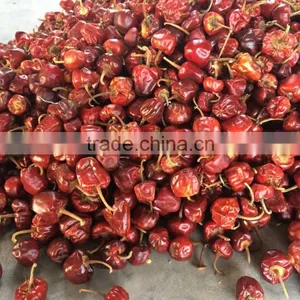 Dried Round Red Chilles thumbnail-3