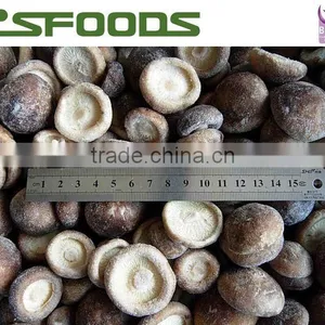 2015 New Harvest Frozen IQF Shiitake Mushroom thumbnail-5