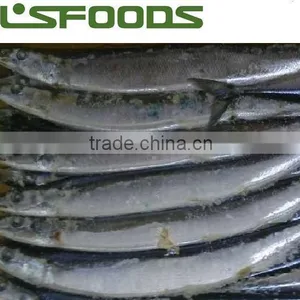 2014 Frozen Pacific Saury From China thumbnail-1