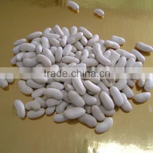 Medium White Beans thumbnail-1