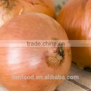 Dehydrated Garlic Powder thumbnail-4