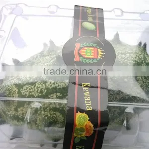 Kewana Seeds Jelly Melon Seeds The Horned Melon For Growing thumbnail-3
