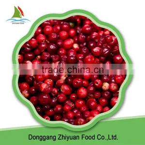 Frozen Style 2016 New Crop Wild Lingonberry thumbnail-2