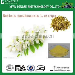 Plant Extract Sophora Flower Extract Powder5:1 /Robinia Pseudoacacia L.extract Powder With Robinin 95% thumbnail-1