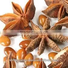 Anise Oil thumbnail-1
