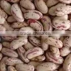 Long Type Speckled Kidney Bean thumbnail-1