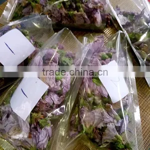 Microwave Flower Dryer and Sterilization Equipment thumbnail-4