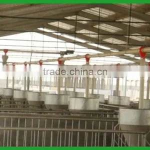 Pig Feeding Equipments / Automatic System thumbnail-3