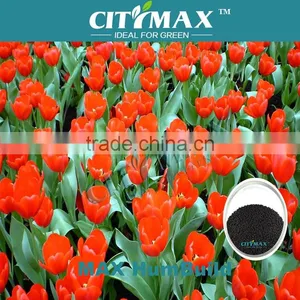 Granular Humic Acid From Leonardite thumbnail-1