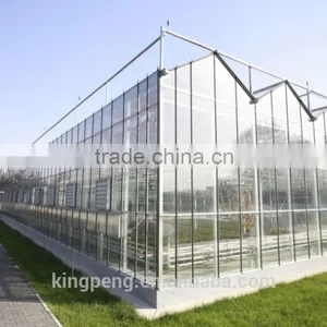 Venlo Glass Greenhouse for Tomato Cucumber Flower Horticulture thumbnail-3
