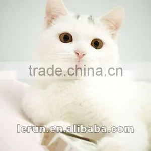 Dog and Cat Food Processing Line thumbnail-1