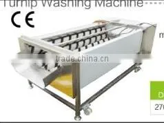 GL-380 Turnip Washing Machine thumbnail-1
