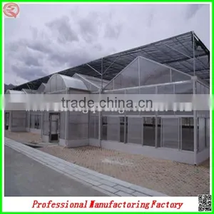 Commercial Steel Frame Venlo Polycarbonate Greenhouses for Sale thumbnail-6