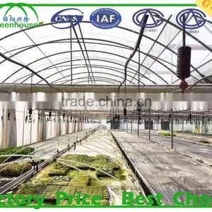 Commercial Hydroponics Greenhouse Cost for Sale thumbnail-4