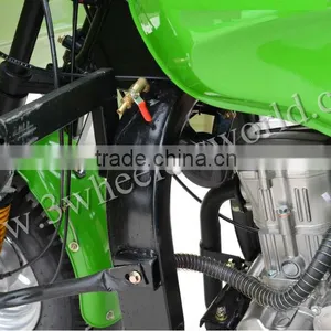Website 2015 China Popular Design 175cc Electric Pedicab for Sale thumbnail-2