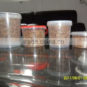 Organic Pet Food Chicken Feed Mealworm thumbnail-2