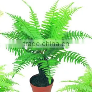 SJ3001022 Fake Boston Fern Craft thumbnail-2