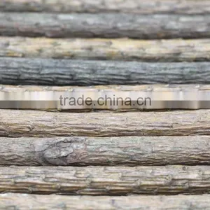 12 Pcs Pine Coloring Pencil, 12 Nature Wooden Coloring Pencil, 12 Pieces Eco-Friendly Color Pencil thumbnail-5