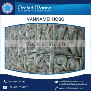HACCP Certified Precisely Processed Vannamei Shrimp for Sale thumbnail-2