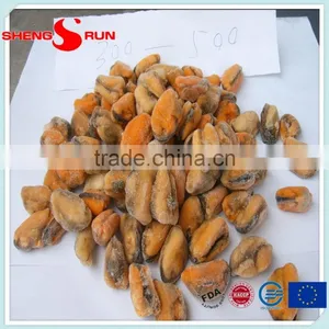 Frozen Boiled Mussel Meat thumbnail-4