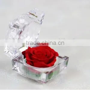 Real Natural Fresh Preserved Roses Flower Everlasting Preserved Roses thumbnail-2