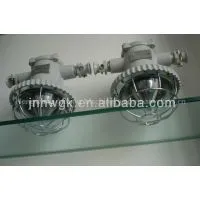DGS30/127L(A) LED Coal Mine Tunnel Lamp thumbnail-1