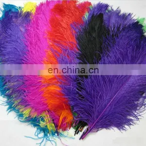 25-30cm Colorful Ostrich Feather For Wedding Dress 2014 thumbnail-2