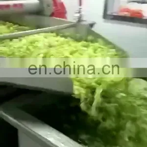 Hot Sale Cheap Reliable Industrial Vegetable Processing Line Machine Wholesaler thumbnail-1
