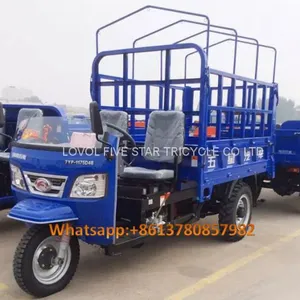 Gasoline Tricycle Cargo Loader Lovol Three Wheeler Mali Ethiopia Ghana Bukina Faso Tanzania Kenya Senegal Togo Benin Nigeira Mauritania Angola Burundi Chad Cameroon C ô te D'Ivoire Gabon Guinea Mozambique Rwanda Congo Uganda Zimbabwe thumbnail-1