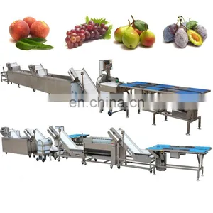Date Washing Line Saudi Arabia Dates Cleaning Equipment Jujube Processing Sorting Machine thumbnail-2