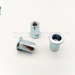M10 Flat Head Hexagon Rivet Nuts UNC Thread YJT 8003 thumbnail-2