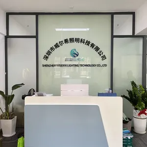 Shenzhen Weierxi Lighting Technology Co., LTD company overview - view 1 thumbnail