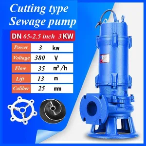 Sewage Pump thumbnail-1