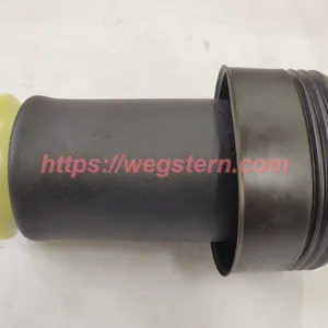 37126790078 371226790081 37126790082 37126790083 Hot Selling Nice Quality Rear Air Spring for BMW X5 E70 X6 E71 E72 Rear LH & RH 2007-2012 thumbnail-1