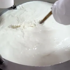 Cream Cheese Soft Cheese Making Machine thumbnail-6