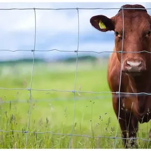 Eco-Friendly Metal Animal Fence - 3.05m Height for Temporary Enclosures thumbnail-2